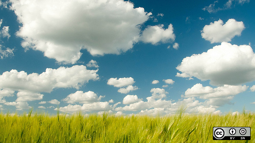 Sky with clouds and grass