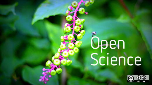 Open science plant and blossom